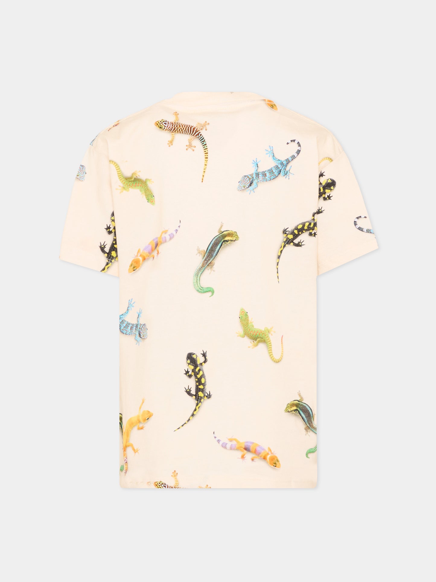 T-shirt multicolor Riley per bambino con gechi,Molo,1S26A208 9551