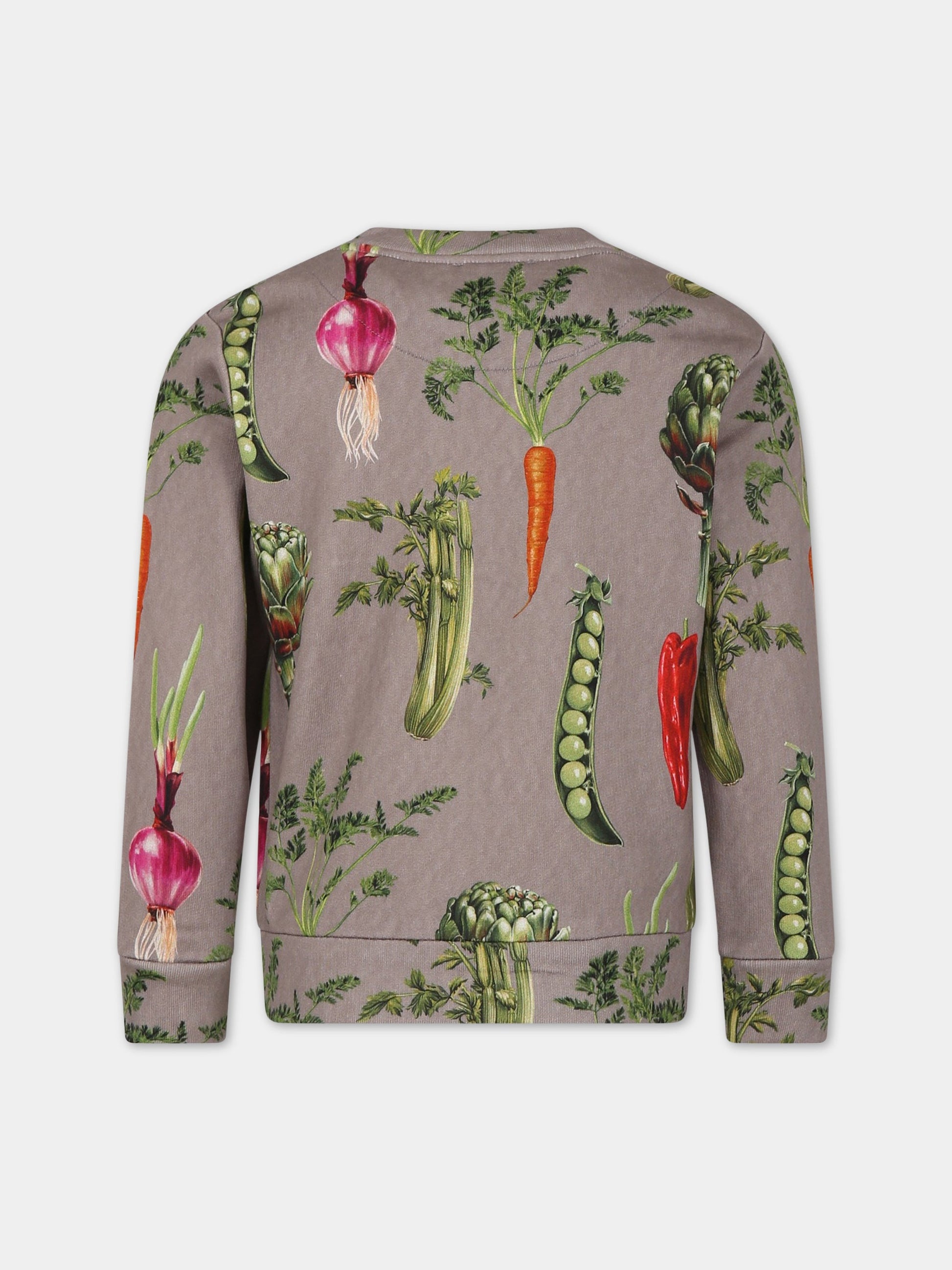 Felpa grigia per bambino con stampa iconica e logo,Dolce & Gabbana Kids,L4JW0K G7I2E S9000